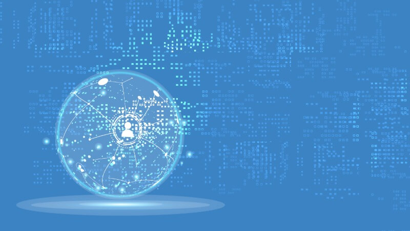 Network